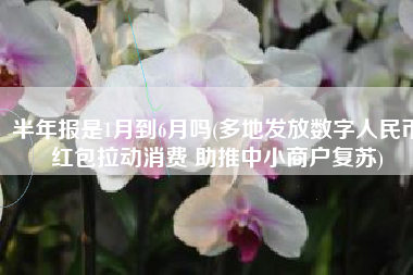 半年报是1月到6月吗(多地发放数字人民币红包拉动消费 助推中小商户复苏)