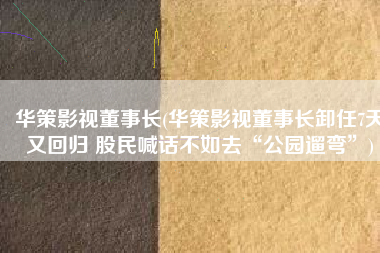 华策影视董事长(华策影视董事长卸任7天又回归 股民喊话不如去“公园遛弯”)