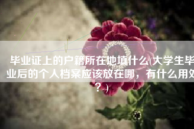 毕业证上的户籍所在地填什么(大学生毕业后的个人档案应该放在哪，有什么用处？)