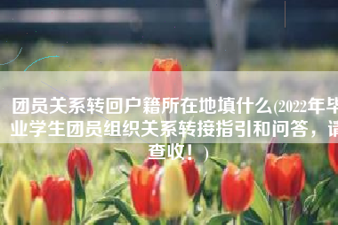 团员关系转回户籍所在地填什么(2022年毕业学生团员组织关系转接指引和问答，请查收！)
