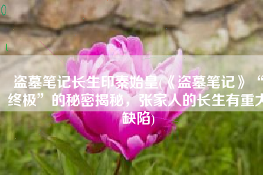 盗墓笔记长生印秦始皇(《盗墓笔记》“终极”的秘密揭秘，张家人的长生有重大缺陷)