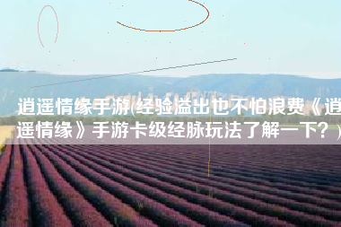 逍遥情缘手游(经验溢出也不怕浪费《逍遥情缘》手游卡级经脉玩法了解一下？)