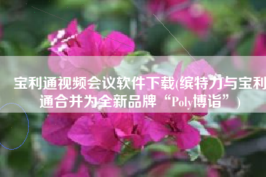 宝利通视频会议软件下载(缤特力与宝利通合并为全新品牌“Poly博诣”)