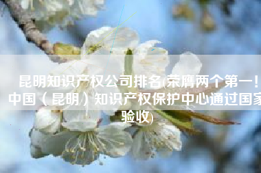 昆明知识产权公司排名(荣膺两个第一！中国（昆明）知识产权保护中心通过国家验收)