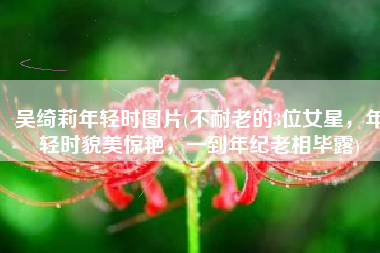 吴绮莉年轻时图片(不耐老的3位女星，年轻时貌美惊艳，一到年纪老相毕露)