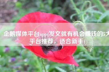 企鹅媒体平台app(发文就有机会赚钱的5大平台推荐，适合新手)