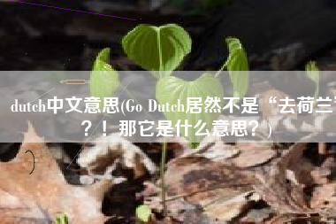 dutch中文意思(Go Dutch居然不是“去荷兰”？！那它是什么意思？)