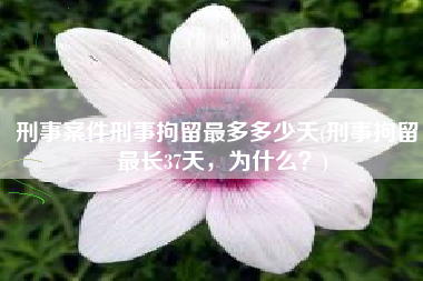刑事案件刑事拘留最多多少天(刑事拘留，最长37天，为什么？)
