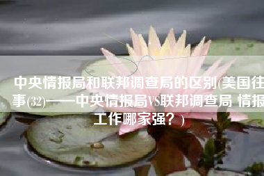 中央情报局和联邦调查局的区别(美国往事(32)——中央情报局VS联邦调查局 情报工作哪家强？)