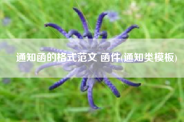 通知函的格式范文 函件(通知类模板)