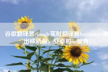 谷歌翻译器(Google实时翻译器Interpreter推出移动版，安卓和ios都有)