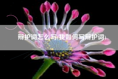 辩护词怎么写(我如何写辩护词)