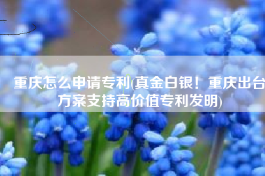 重庆怎么申请专利(真金白银！重庆出台方案支持高价值专利发明)
