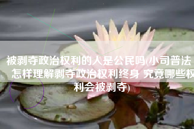 被剥夺政治权利的人是公民吗(小司普法 | 怎样理解剥夺政治权利终身 究竟哪些权利会被剥夺)