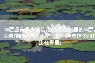 80后还有多少没结婚的(现在村里的80后，没结婚的还有一大把，你们感觉这个问题出在哪里)