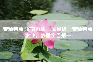 专精特新(济南再添583家省级“专精特新”企业，数量全省第一)