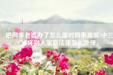 把同事老婆办了怎么面对同事视屏(小三破坏别人家庭法律怎么处理)