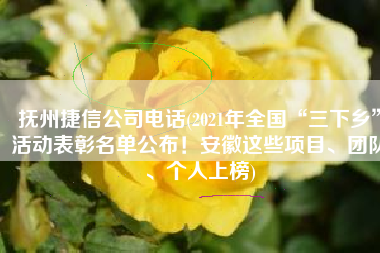 抚州捷信公司电话(2021年全国“三下乡”活动表彰名单公布！安徽这些项目、团队、个人上榜)