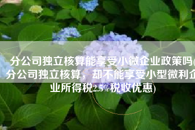 分公司独立核算能享受小微企业政策吗(分公司独立核算，却不能享受小型微利企业所得税2.5%税收优惠)