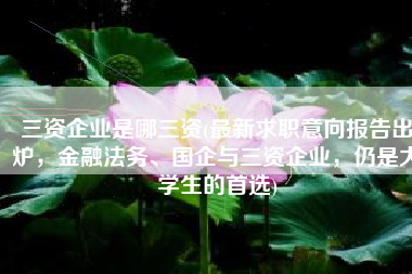 三资企业是哪三资(最新求职意向报告出炉，金融法务、国企与三资企业，仍是大学生的首选)