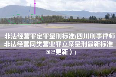非法经营罪定罪量刑标准(四川刑事律师：非法经营同类营业罪立案量刑最新标准（2022更新）)