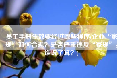 员工手册生效要经过哪些程序(企业“家规”如何合规？是否严重违反“家规”，谁说了算？)