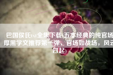 巴国侯氏txt全集下载(五本经典的纯官场厚黑学文推荐第一弹，官场如战场，风云四起)