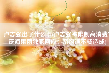 卢志强出了什么事(卢志强被限制高消费？泛海集团独家回应：系沟通不畅造成)
