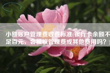 小额账户管理费收费标准(银行卡余额不足百元，会被收管理费或其他费用吗？)