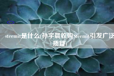 steemit是什么(孙宇晨收购Steemit引发广泛质疑)