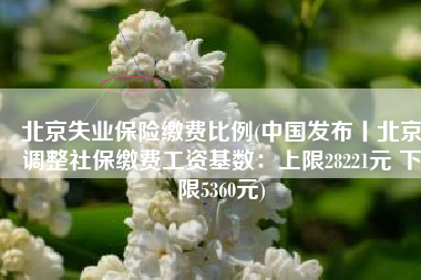 北京失业保险缴费比例(中国发布丨北京调整社保缴费工资基数：上限28221元 下限5360元)