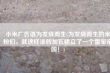 小米广告语为发烧而生(为发烧而生的米粉们，就这样添砖加瓦建立了一个雷军帝国！)