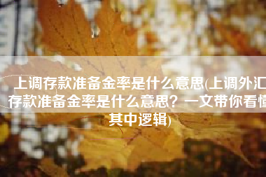 上调存款准备金率是什么意思(上调外汇存款准备金率是什么意思？一文带你看懂其中逻辑)