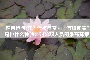 殊荣造句(在古代被盛赞为“有脚阳春”是种什么体验：对公职人员的最高殊荣)