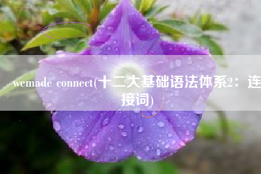 wemade connect(十二大基础语法体系2：连接词)