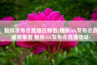 魅族发布会直播在哪看(魅族16X发布会直播哪里看 魅族16X发布会直播地址)