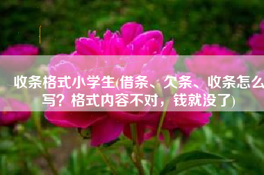 收条格式小学生(借条、欠条、收条怎么写？格式内容不对，钱就没了)