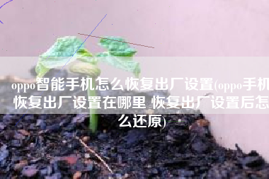 oppo智能手机怎么恢复出厂设置(oppo手机恢复出厂设置在哪里 恢复出厂设置后怎么还原)