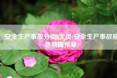 安全生产事故分类4大类(安全生产事故应急救援预案)