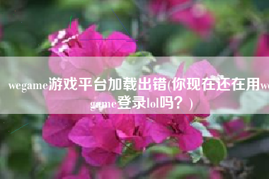 wegame游戏平台加载出错(你现在还在用wegame登录lol吗？)