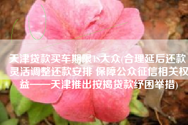 天津贷款买车期限4S大众(合理延后还款 灵活调整还款安排 保障公众征信相关权益——天津推出按揭贷款纾困举措)