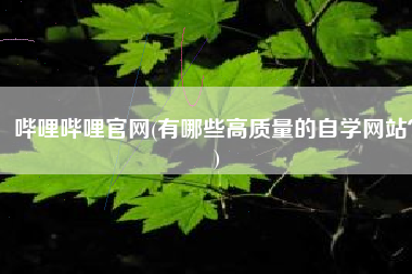 哔哩哔哩官网(有哪些高质量的自学网站？)