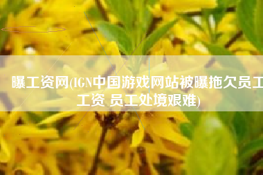曝工资网(IGN中国游戏网站被曝拖欠员工工资 员工处境艰难)