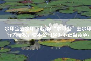 水印宝去水印下载(称“水印宝”去水印行为侵权，快手公司起诉不正当竞争)