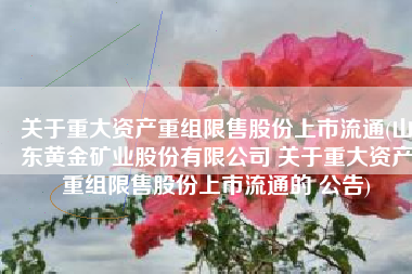 关于重大资产重组限售股份上市流通(山东黄金矿业股份有限公司 关于重大资产重组限售股份上市流通的 公告)