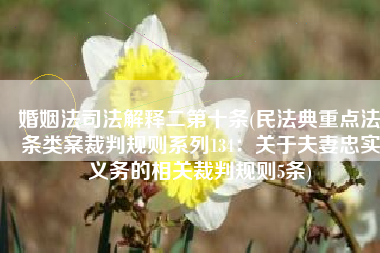 婚姻法司法解释二第十条(民法典重点法条类案裁判规则系列134：关于夫妻忠实义务的相关裁判规则5条)