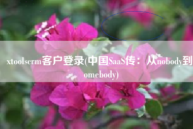 xtoolscrm客户登录(中国SaaS传：从nobody到somebody)
