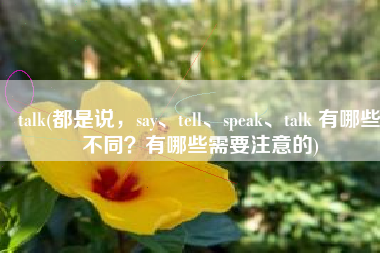 talk(都是说，say、tell、speak、talk 有哪些不同？有哪些需要注意的)