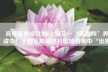 高帅富养成计划(上海又一“高富帅”养成中！十四五期间这片区域将集中“出形象”)