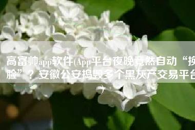 高富帅app软件(App平台夜晚竟然自动“换脸”？安徽公安捣毁多个黑灰产交易平台)